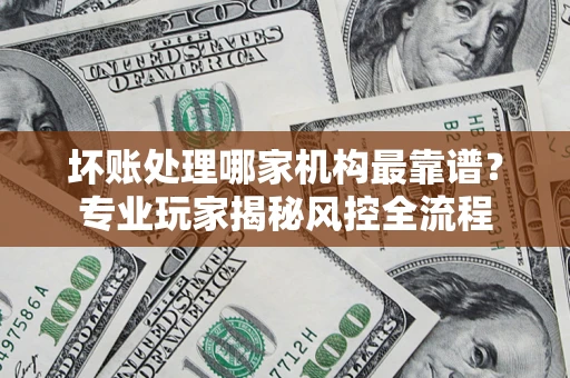 武汉坏账处理哪家机构最靠谱？专业玩家揭秘风控全流程