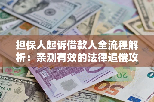 武汉担保人起诉借款人全流程解析：亲测有效的法律追偿攻略