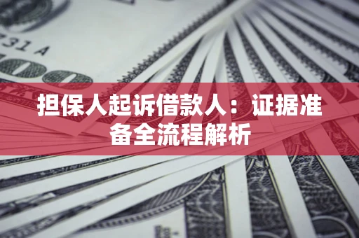 武汉担保人起诉借款人：证据准备全流程解析