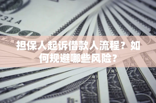 武汉担保人起诉借款人流程？如何规避哪些风险？