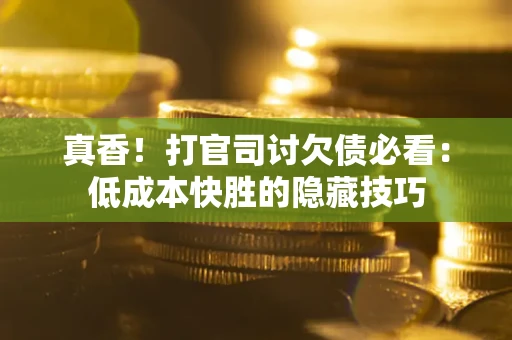 武汉真香！打官司讨欠债必看：低成本快胜的隐藏技巧