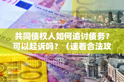 武汉共同债权人如何追讨债务？可以起诉吗？（速看合法攻略）