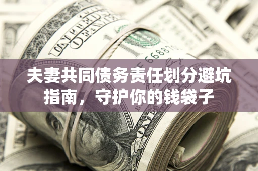 武汉夫妻共同债务责任划分避坑指南，守护你的钱袋子