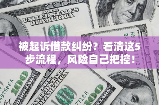 武汉被起诉借款纠纷？看清这5步流程，风险自己把控！