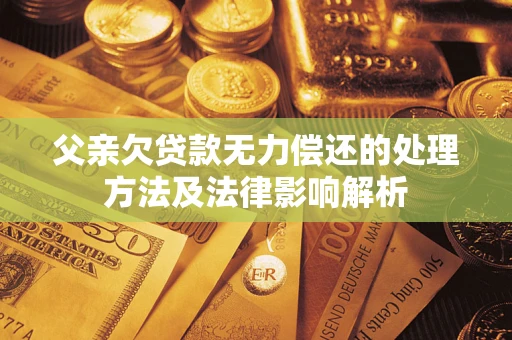 武汉父亲欠贷款无力偿还的处理方法及法律影响解析